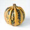 Pumpkin Yellow and Green