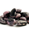 Scarlet Runner Beans