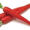 Carrot Red