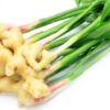 Pahadi Ginger